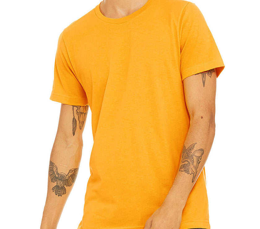 Blank Solid Color T-shirts / Unisex Adult / Bella canvas 3001