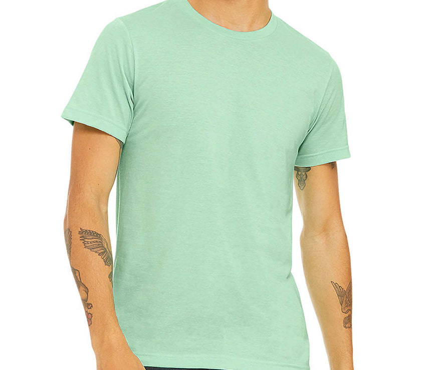 Blank Solid Color T-shirts / Unisex Adult / Bella canvas 3001